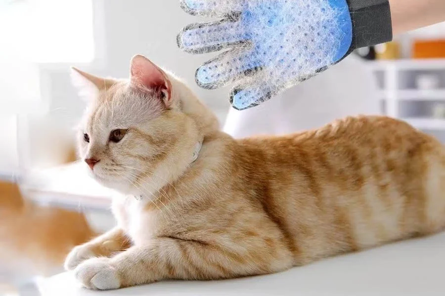 pet grooming glove